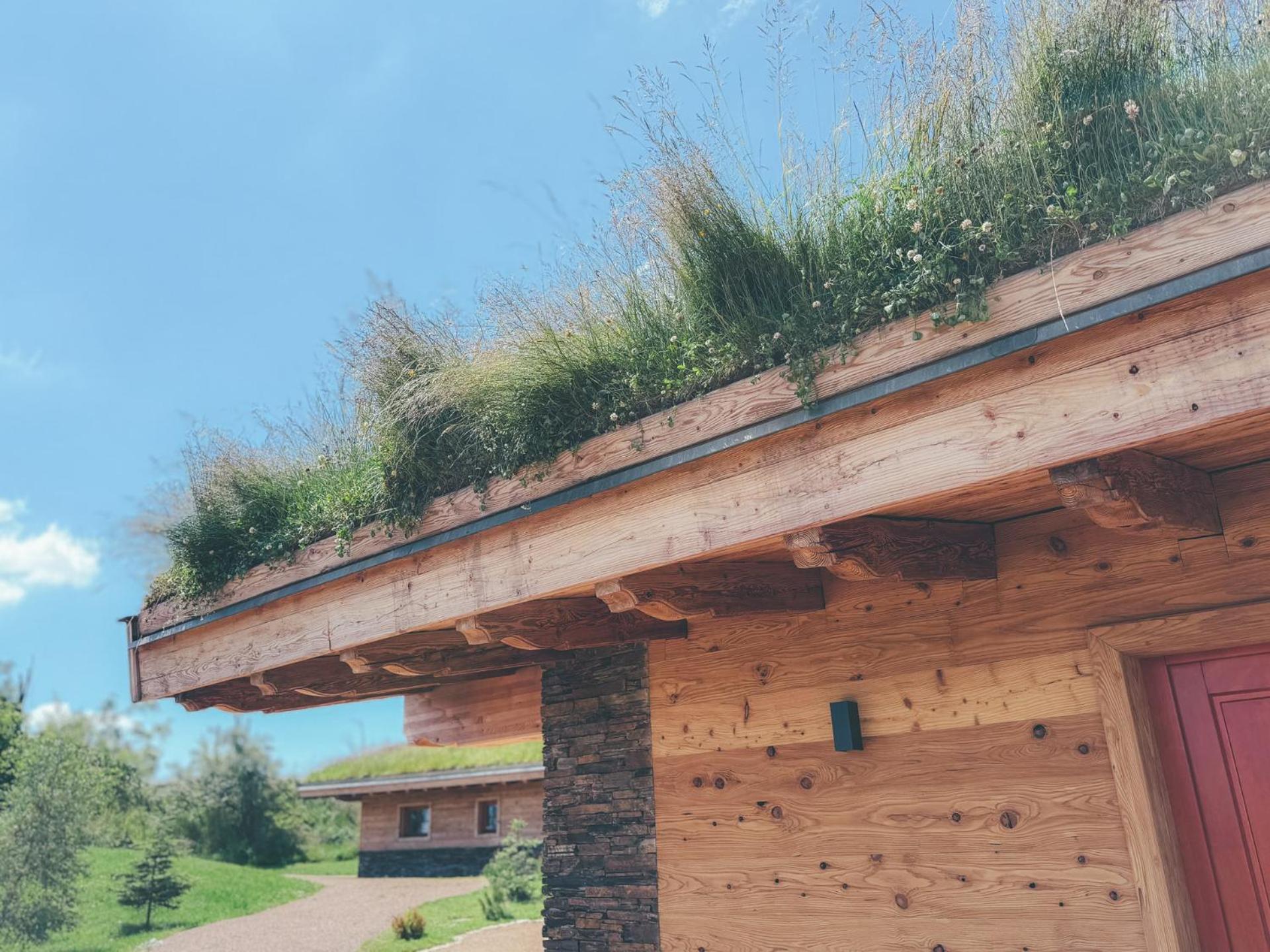Chalets Resort Cinovec Exterior photo